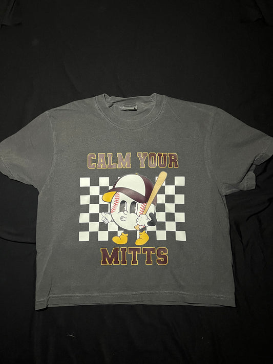Calm your mitts (baseball)