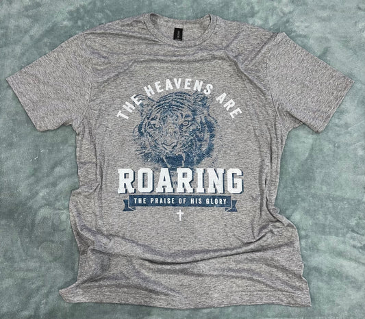 The Heavens are Roaring